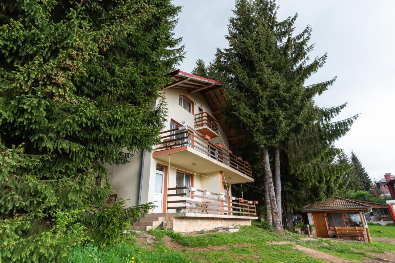 Orlino Holiday Park Sarnitsa Buitenkant foto
