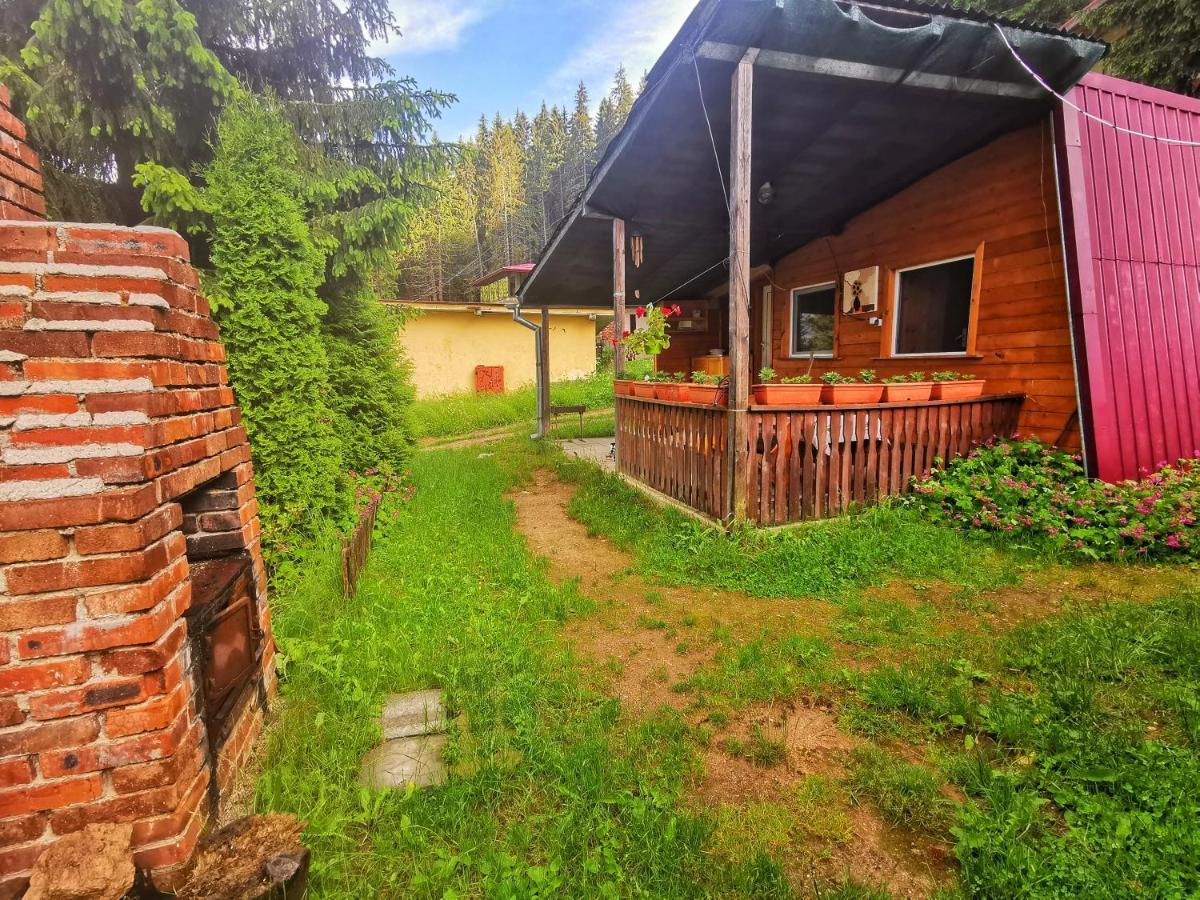 Orlino Holiday Park Sarnitsa Buitenkant foto