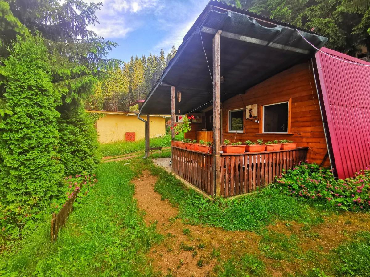 Orlino Holiday Park Sarnitsa Buitenkant foto