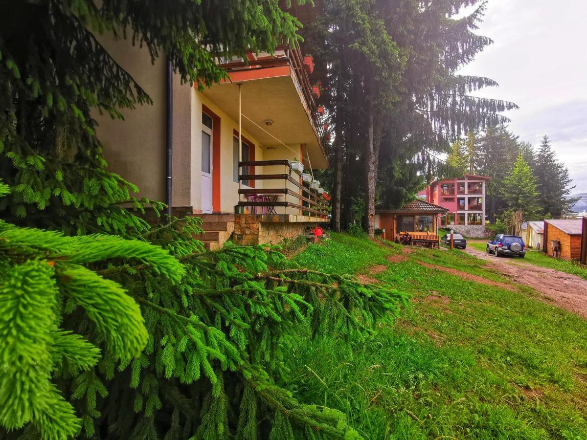 Orlino Holiday Park Sarnitsa Buitenkant foto